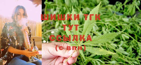 твердый Михайловск