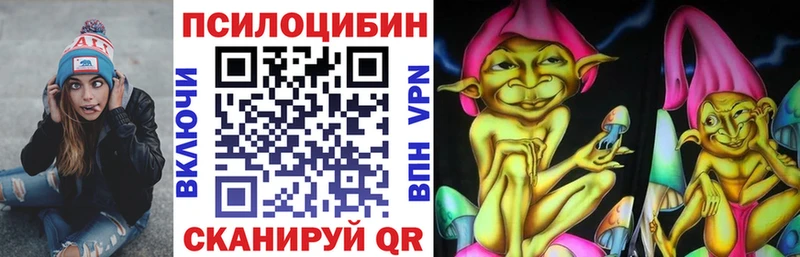 Псилоцибиновые грибы ЛСД  Купить закладки  Алейск