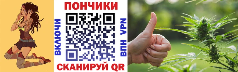 Бошки марихуана ГИДРОПОН  Купить закладки  Алейск 